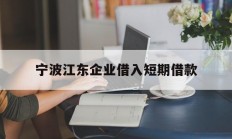 宁波江东企业借入短期借款