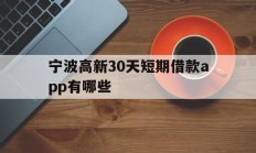 宁波高新30天短期借款app有哪些