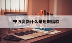 宁波高新什么是短期借款