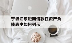 宁波江东短期借款在资产负债表中如何列示