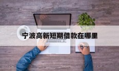 宁波高新短期借款在哪里