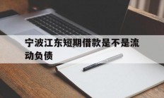 宁波江东短期借款是不是流动负债