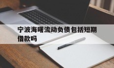 宁波海曙流动负债包括短期借款吗