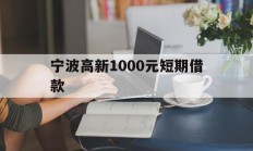 宁波高新1000元短期借款
