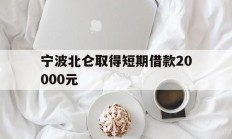 宁波北仑取得短期借款20000元