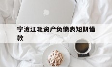 宁波江北资产负债表短期借款