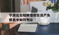 宁波北仑短期借款在资产负债表中如何列示