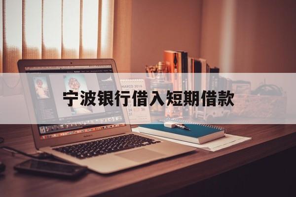 宁波银行借入短期借款 宁波银行借入短期借款