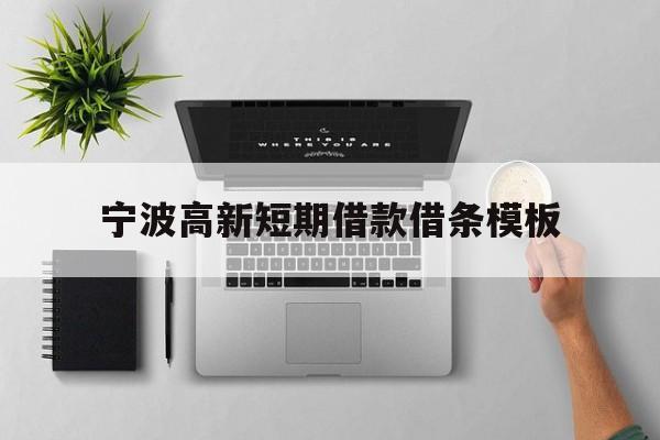 宁波高新短期借款借条模板 宁波高新短期借款借条模板
