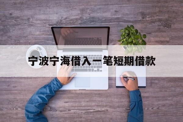 宁波宁海借入一笔短期借款
