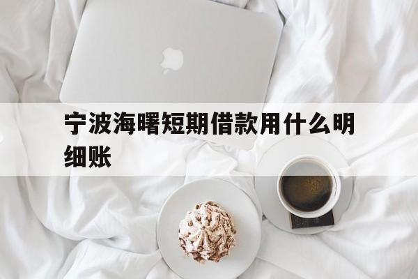 宁波海曙短期借款用什么明细账 宁波海曙短期借款用什么明细账