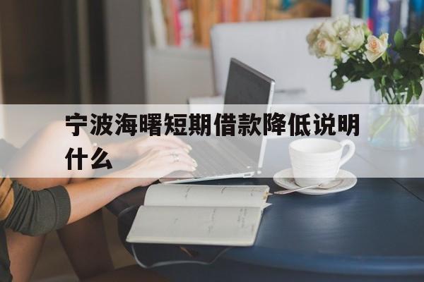 宁波海曙短期借款降低说明什么 宁波海曙短期借款降低说明什么