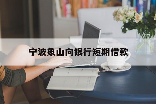 宁波象山向银行短期借款 宁波象山向银行短期借款