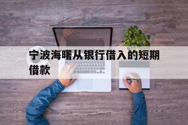 宁波海曙从银行借入的短期借款 宁波海曙从银行借入的短期借款