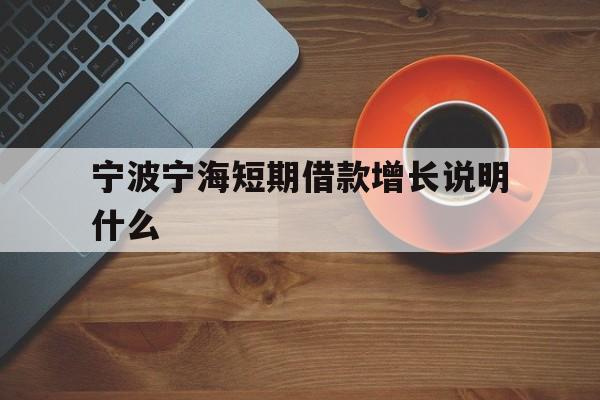宁波宁海短期借款增长说明什么 宁波宁海短期借款增长说明什么