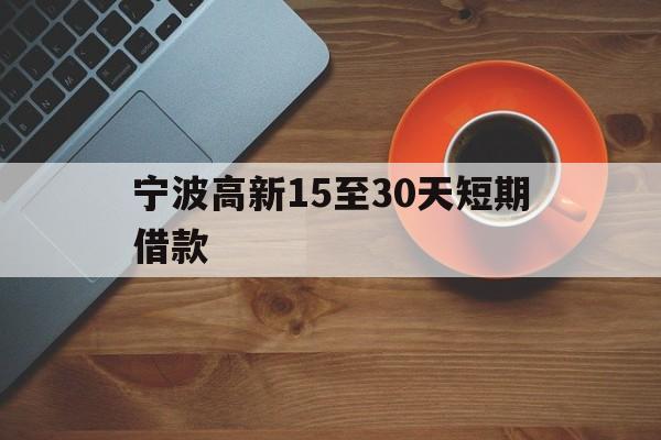 宁波高新15至30天短期借款 宁波高新15至30天短期借款