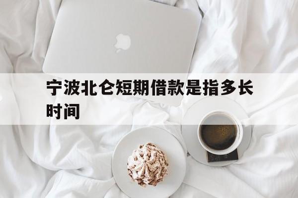 宁波北仑短期借款是指多长时间 宁波北仑短期借款是指多长时间