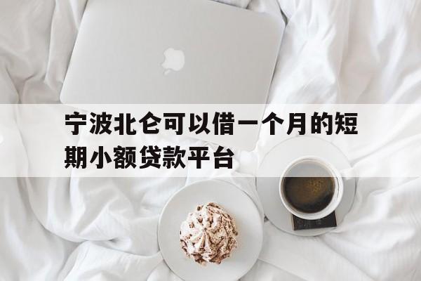 宁波北仑可以借一个月的短期小额贷款平台 宁波北仑可以借一个月的短期小额贷款平台