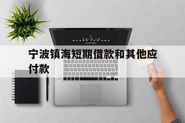 宁波镇海短期借款和其他应付款 宁波镇海短期借款和其他应付款
