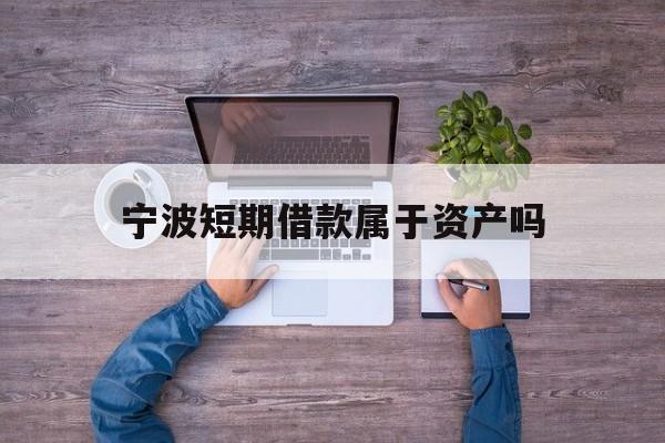 宁波短期借款属于资产吗 宁波短期借款属于资产吗