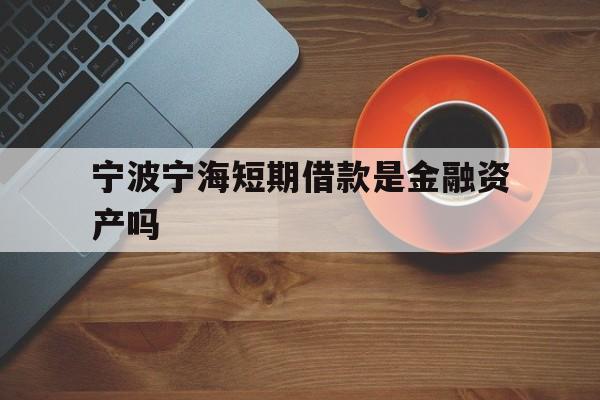 宁波宁海短期借款是金融资产吗 宁波宁海短期借款是金融资产吗
