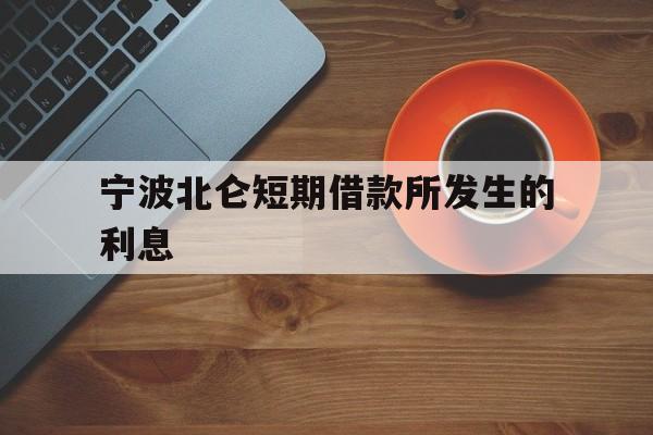 宁波北仑短期借款所发生的利息 宁波北仑短期借款所发生的利息