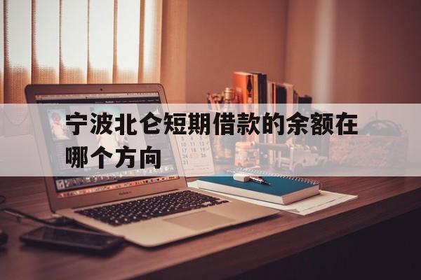 宁波北仑短期借款的余额在哪个方向 宁波北仑短期借款的余额在哪个方向