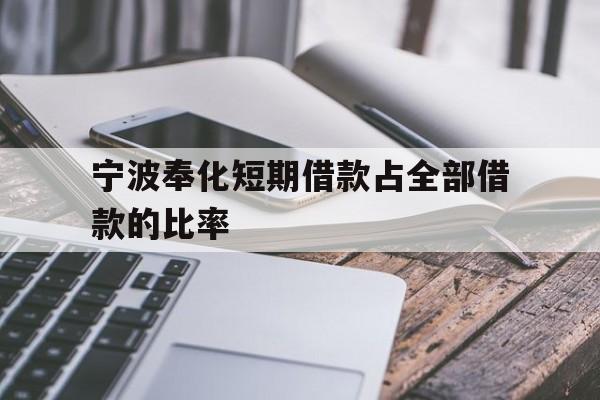 宁波奉化短期借款占全部借款的比率 宁波奉化短期借款占全部借款的比率