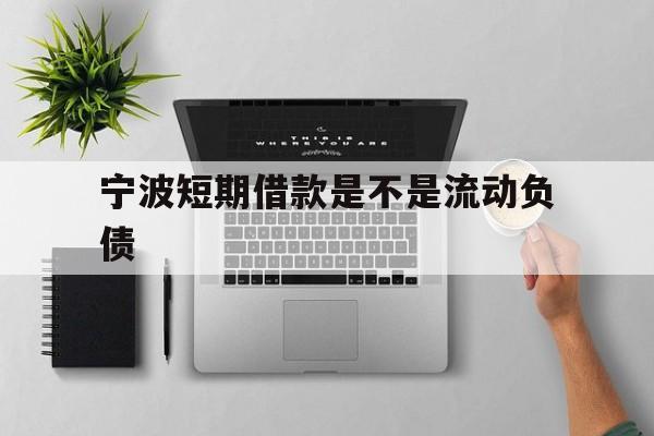 宁波短期借款是不是流动负债 宁波短期借款是不是流动负债