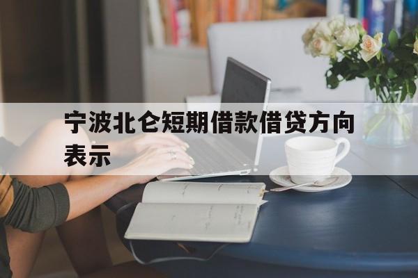 宁波北仑短期借款借贷方向表示 宁波北仑短期借款借贷方向表示