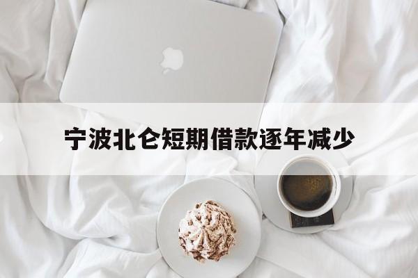 宁波北仑短期借款逐年减少 宁波北仑短期借款逐年减少