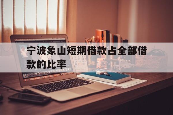 宁波象山短期借款占全部借款的比率 宁波象山短期借款占全部借款的比率