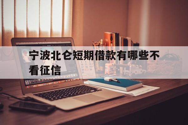 宁波北仑短期借款有哪些不看征信 宁波北仑短期借款有哪些不看征信
