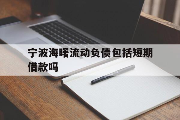 宁波海曙流动负债包括短期借款吗 宁波海曙流动负债包括短期借款吗