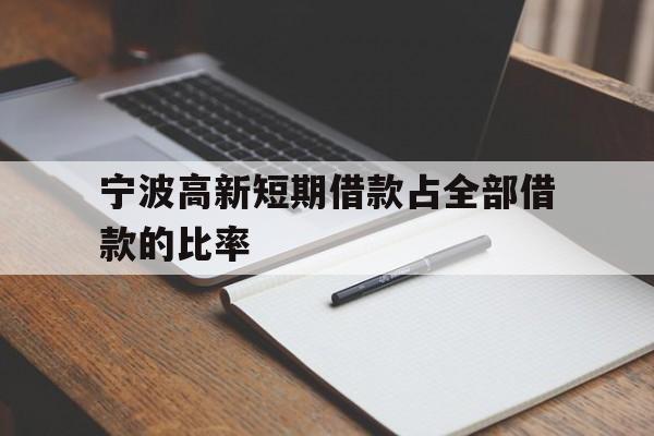 宁波高新短期借款占全部借款的比率 宁波高新短期借款占全部借款的比率