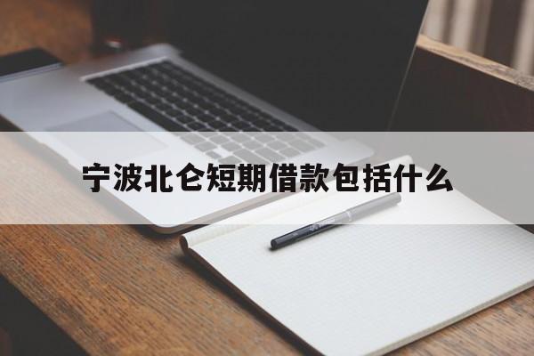 宁波北仑短期借款包括什么 宁波北仑短期借款包括什么
