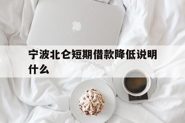 宁波北仑短期借款降低说明什么 宁波北仑短期借款降低说明什么