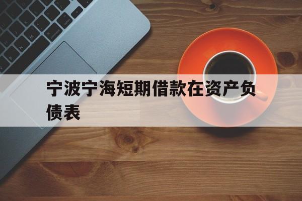 宁波宁海短期借款在资产负债表 宁波宁海短期借款在资产负债表