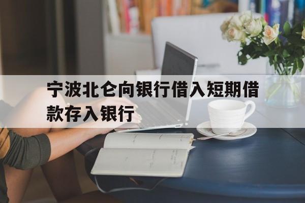 宁波北仑向银行借入短期借款存入银行 宁波北仑向银行借入短期借款存入银行