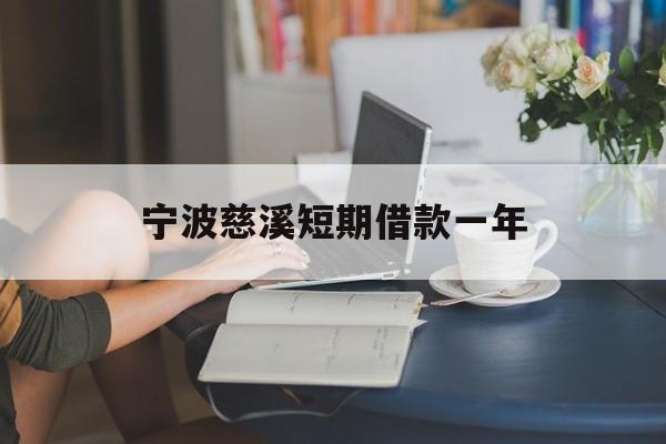 宁波慈溪短期借款一年 宁波慈溪短期借款一年