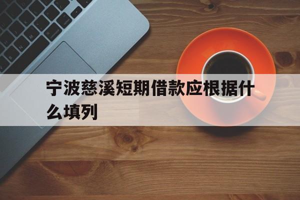 宁波慈溪短期借款应根据什么填列 宁波慈溪短期借款应根据什么填列