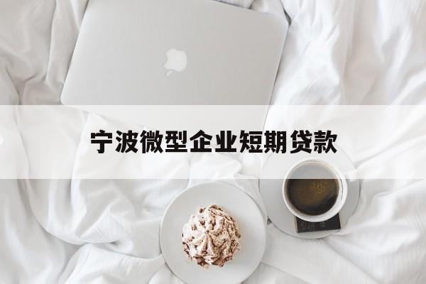 宁波微型企业短期贷款