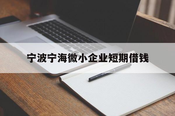 宁波宁海微小企业短期借钱 宁波宁海微小企业短期借钱