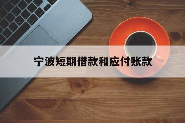 宁波短期借款和应付账款