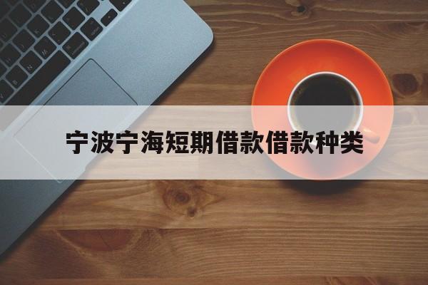 宁波宁海短期借款借款种类