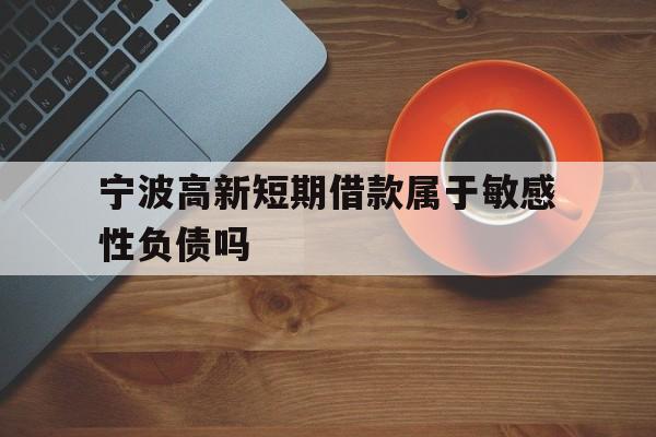 宁波高新短期借款属于敏感性负债吗
