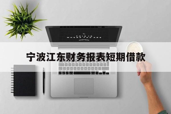 宁波江东财务报表短期借款