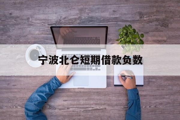 宁波北仑短期借款负数