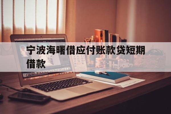 宁波海曙借应付账款贷短期借款 宁波海曙借应付账款贷短期借款