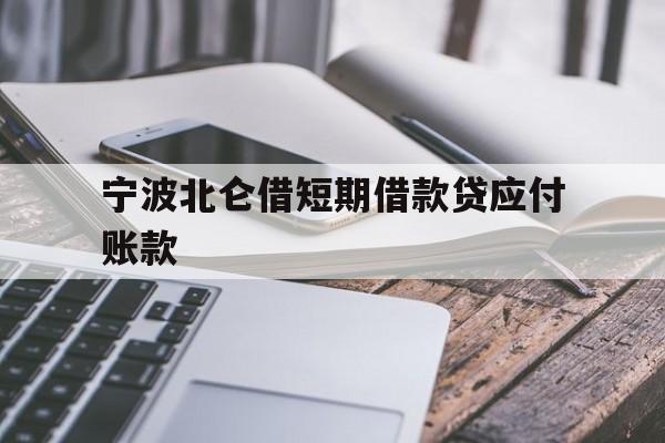 宁波北仑借短期借款贷应付账款 宁波北仑借短期借款贷应付账款
